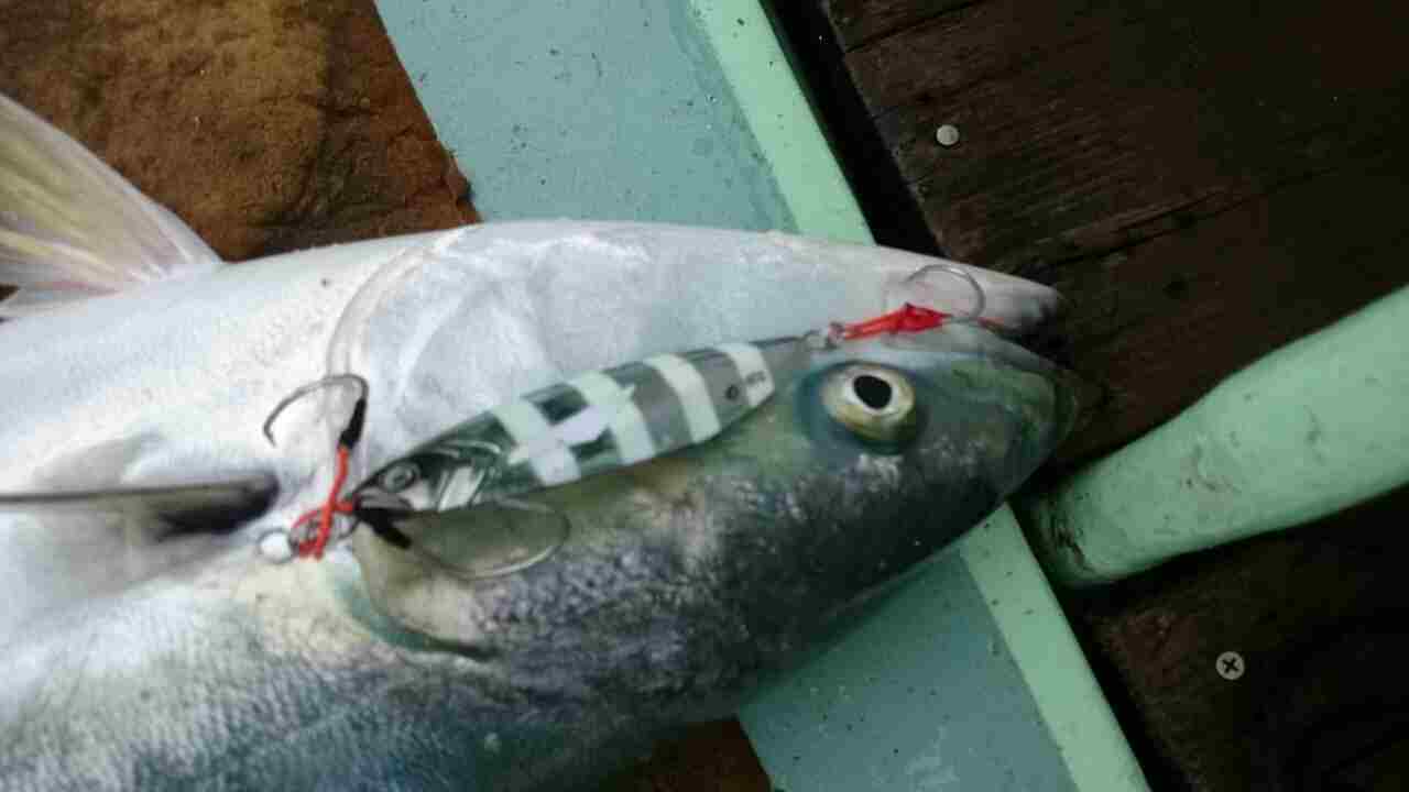 a0248152_17465389.jpg