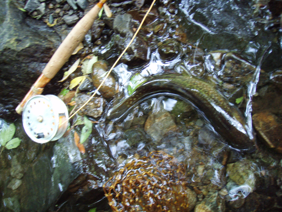 d0283357_18173772.jpg