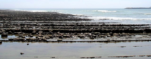 c0119160_21283669.jpg