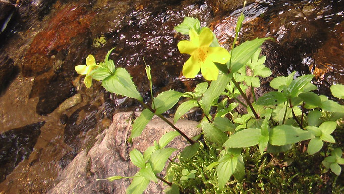 b0208961_17214899.jpg