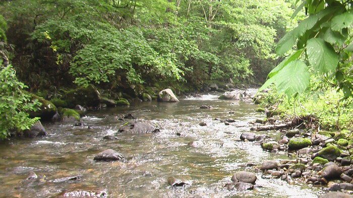 b0208961_1730029.jpg