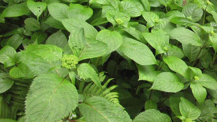 b0208961_17304163.jpg