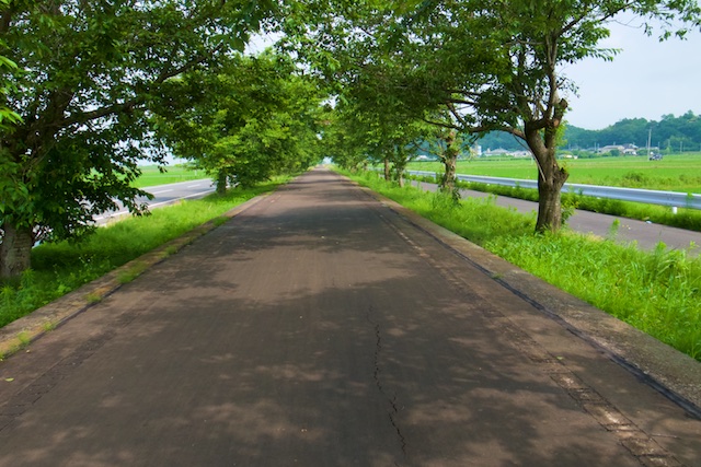 b0247073_20434245.jpg