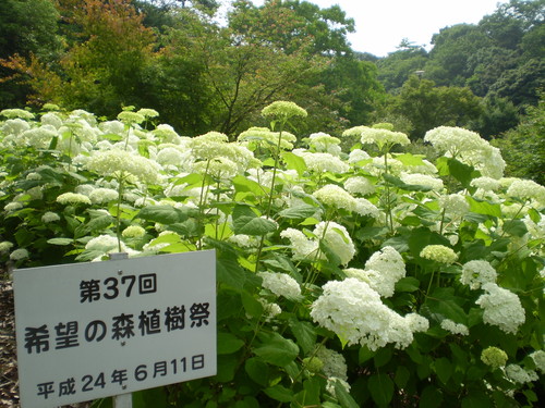 a0135990_21565591.jpg