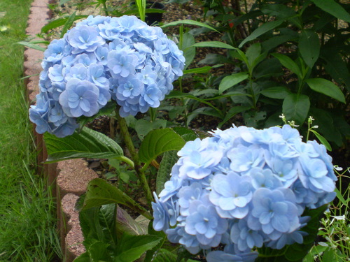 a0135990_2211158.jpg