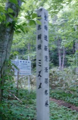 c0151898_19563590.jpg