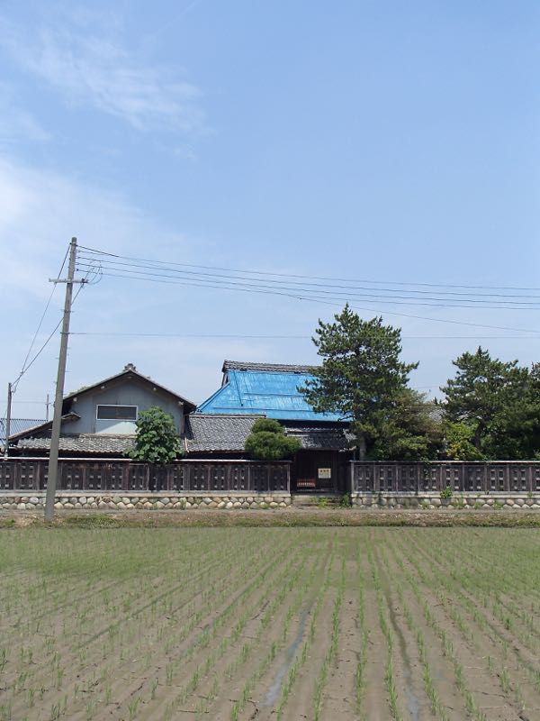 c0015099_10234228.jpg