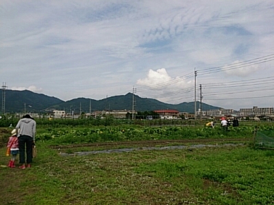 a0216805_720388.jpg