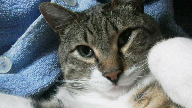 f0316507_20493362.jpg