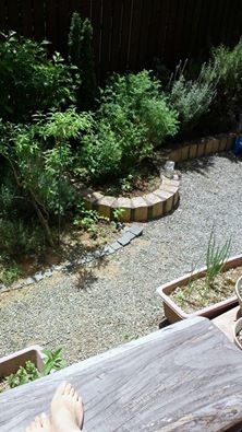 f0008510_14221928.jpg