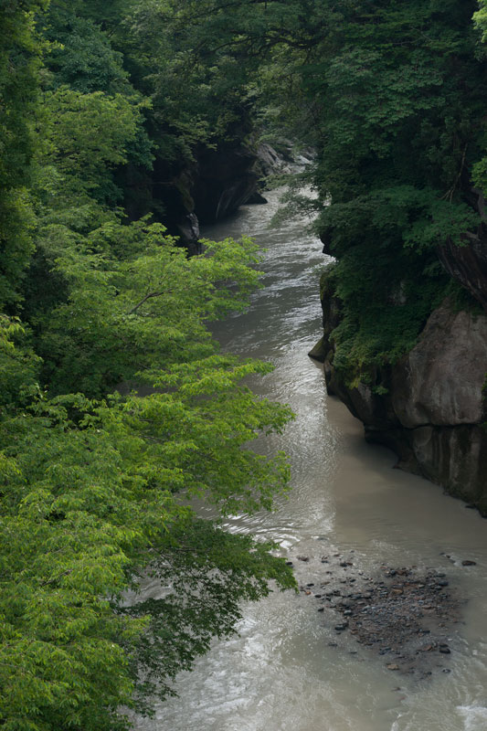 a0278914_1185086.jpg
