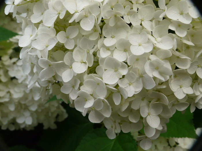 b0286321_15243427.jpg