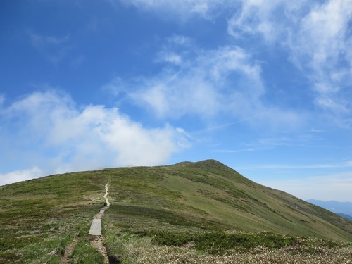 f0149422_15555231.jpg