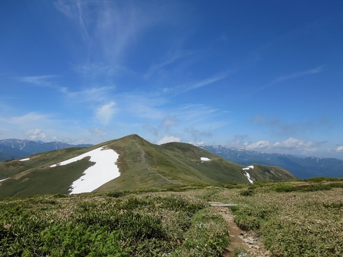 f0149422_1556307.jpg
