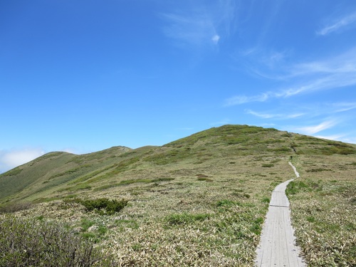 f0149422_155651100.jpg