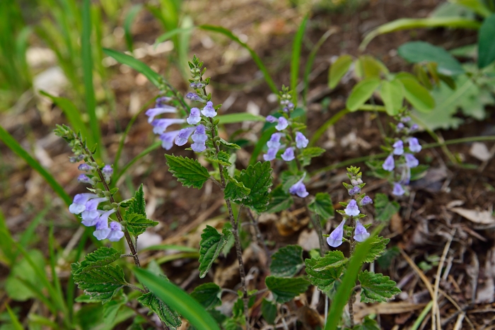 b0236334_21174855.jpg