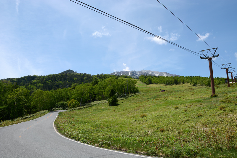 d0164443_17111643.jpg