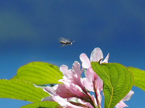c0081645_1540414.jpg
