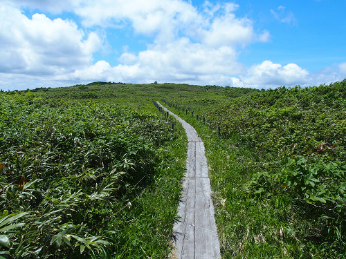 c0081645_1553583.jpg