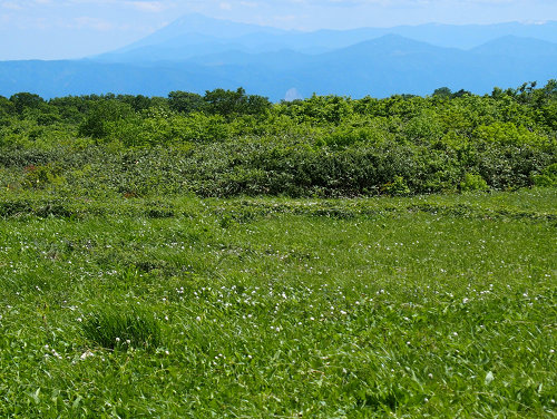 c0081645_15561740.jpg