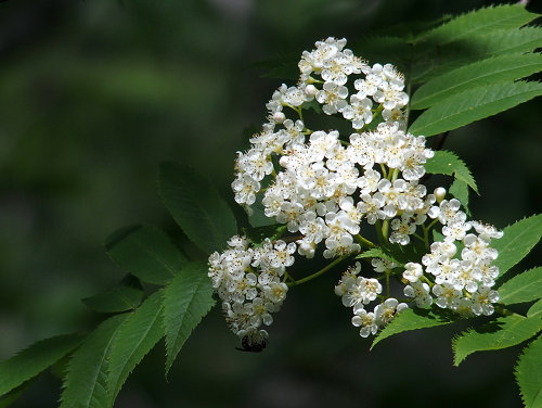 c0081645_1655676.jpg