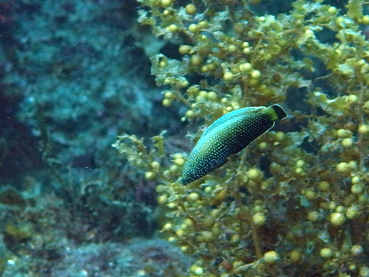 b0236647_14542528.jpg