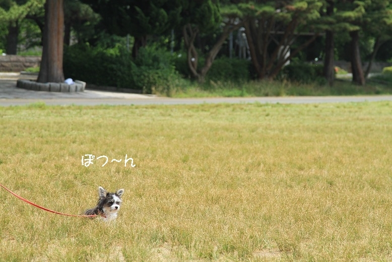 c0145250_16021168.jpg