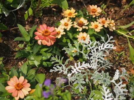 b0246758_21315545.jpg