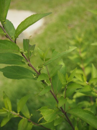 b0246758_21490566.jpg