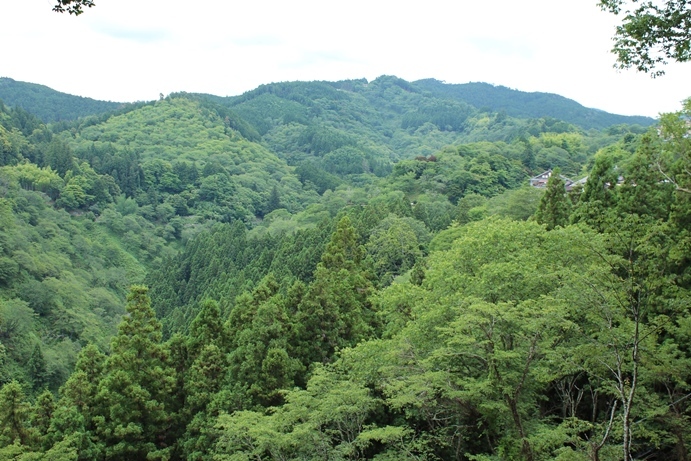e0239458_21290187.jpg
