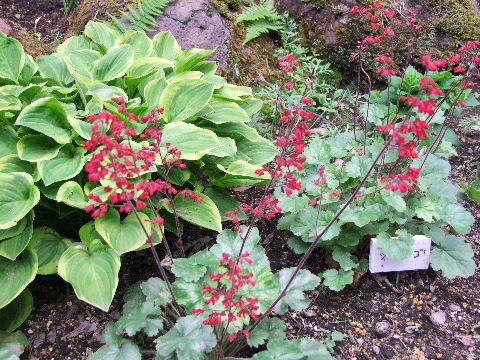 e0088260_22205492.jpg