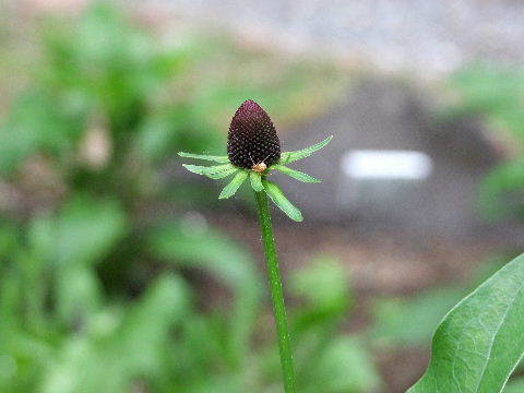 e0088260_22260216.jpg