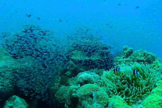 b0062363_18431611.jpg
