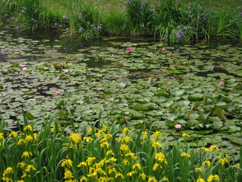 c0148165_18391969.jpg