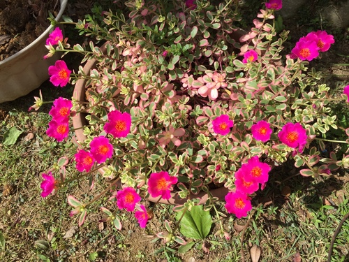 f0209581_1030490.jpg