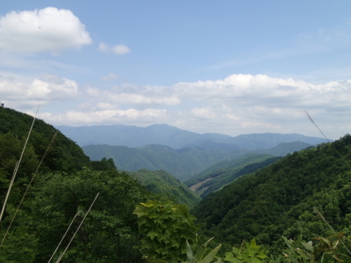 a0279883_00404934.jpg