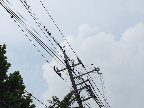 c0014187_21523749.jpg