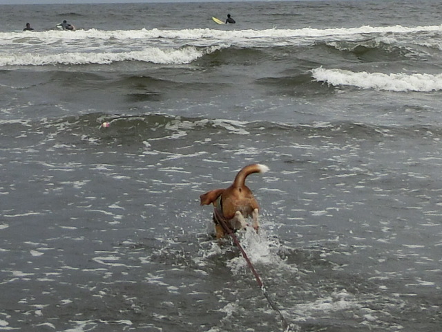 a0319693_7433983.jpg