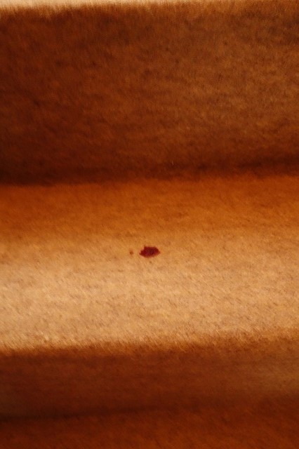 b0147203_946921.jpg