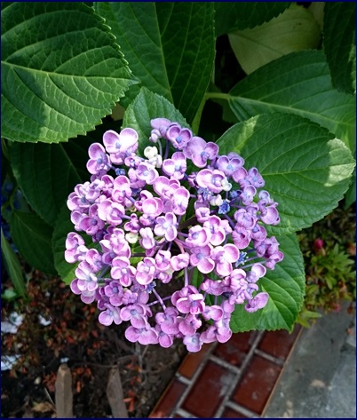 c0157412_23183840.jpg