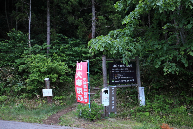 c0369219_16414841.jpg