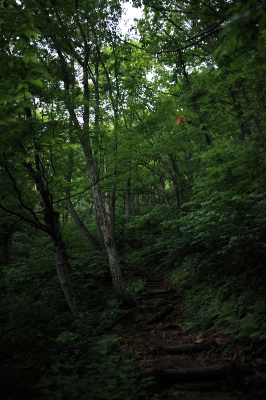 c0369219_16434951.jpg