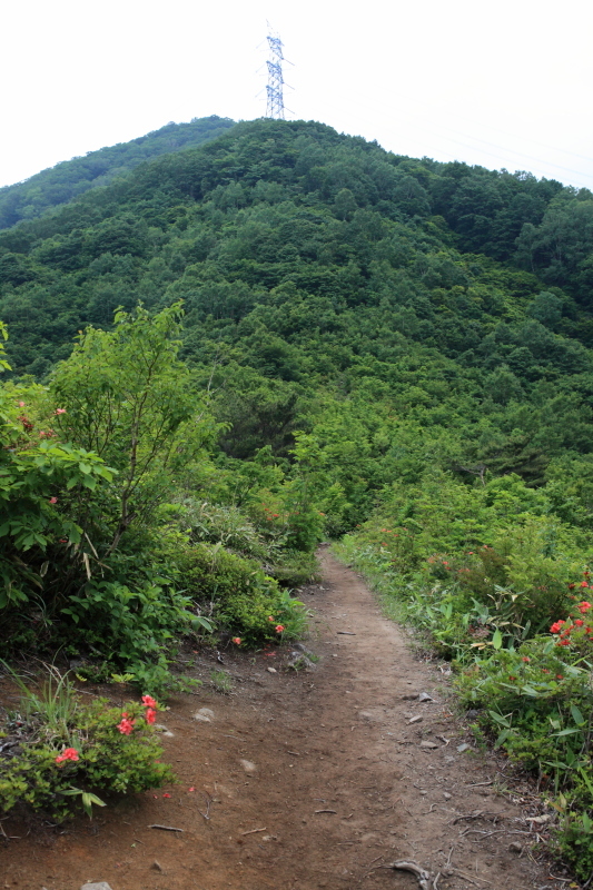 c0369219_16572157.jpg