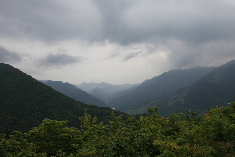 c0369219_17005459.jpg