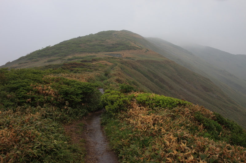 c0369219_22193240.jpg