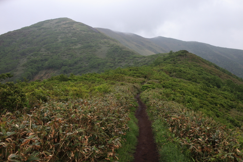 c0369219_22233659.jpg