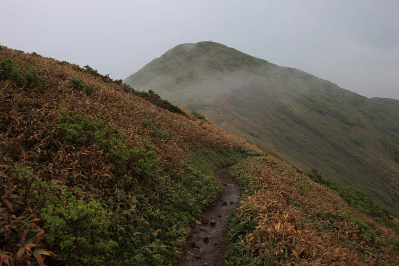 c0369219_22473564.jpg