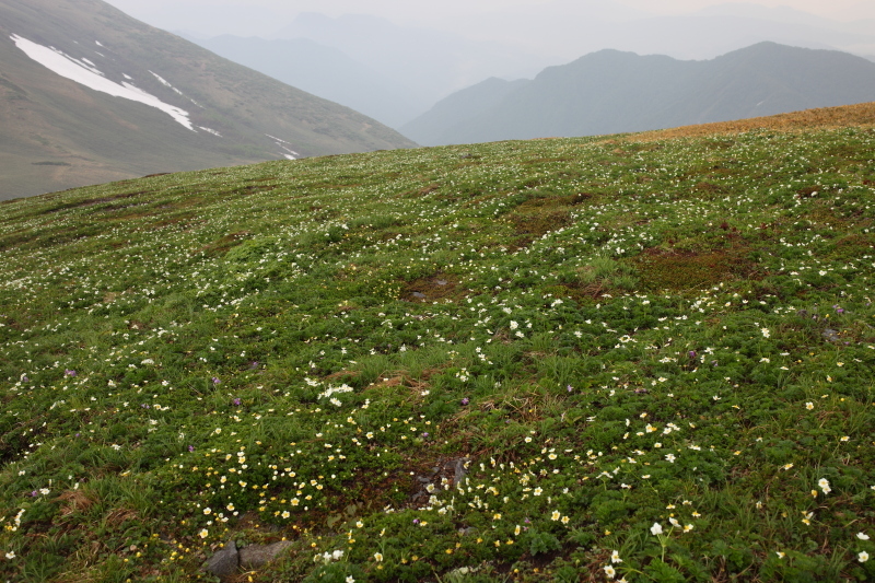 c0369219_23115197.jpg