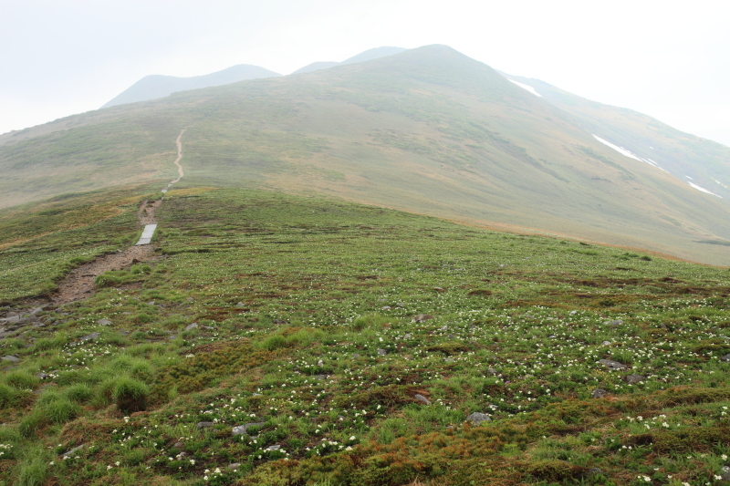 c0369219_23203952.jpg