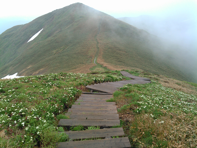 c0369219_23562019.jpg